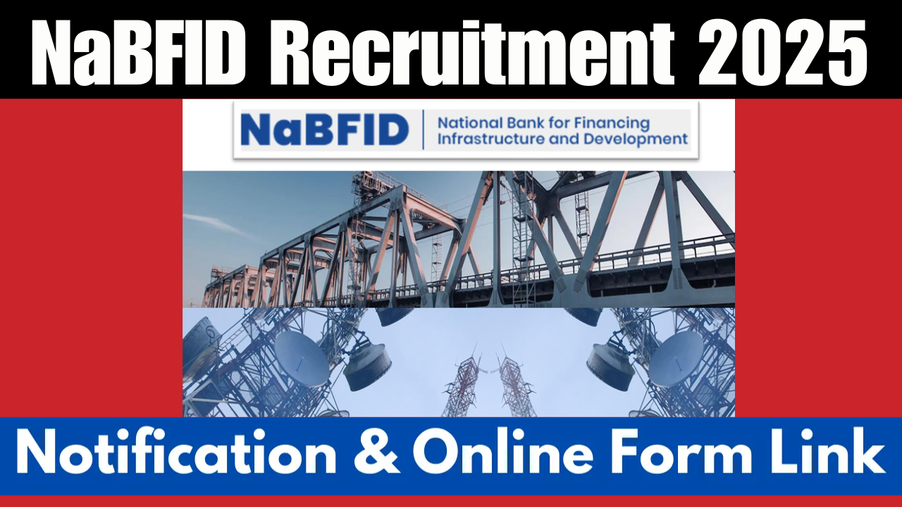 NaBFID Recruitment 2025