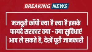 Haryana Labour Copy