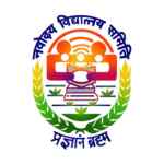 NVS Logo