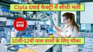 Cipla Recruitment
