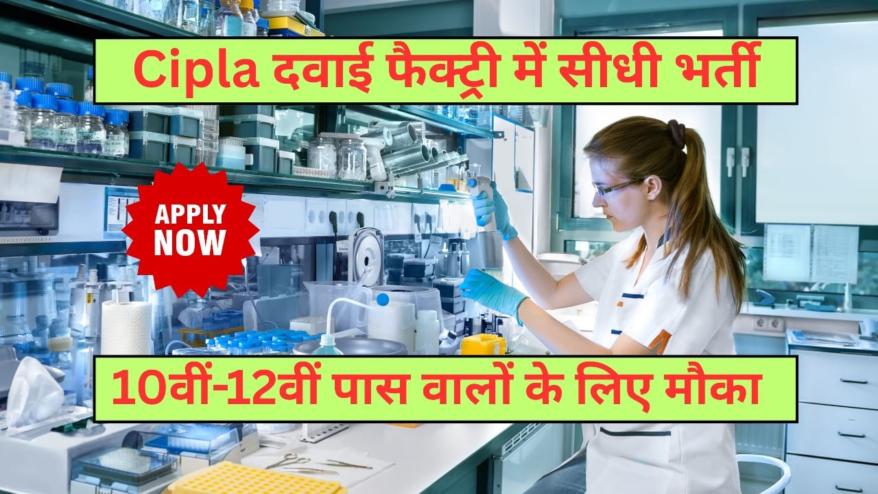 Cipla Recruitment