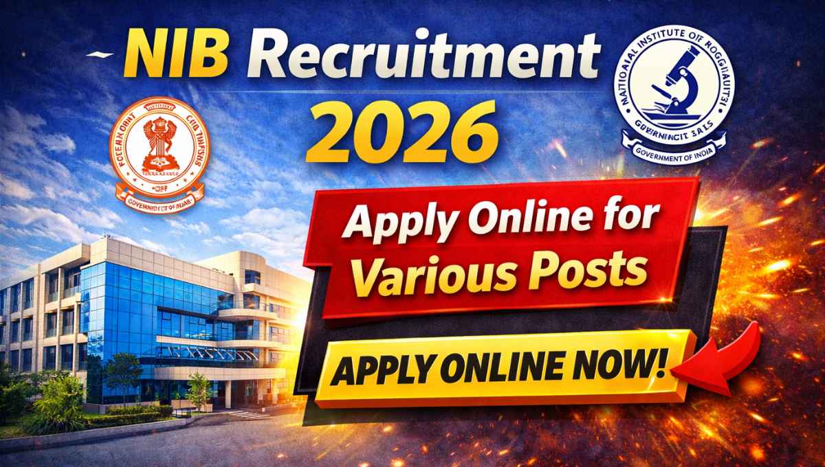 NIB Recruitment